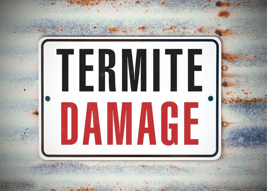 Termite Inspection Baltimore